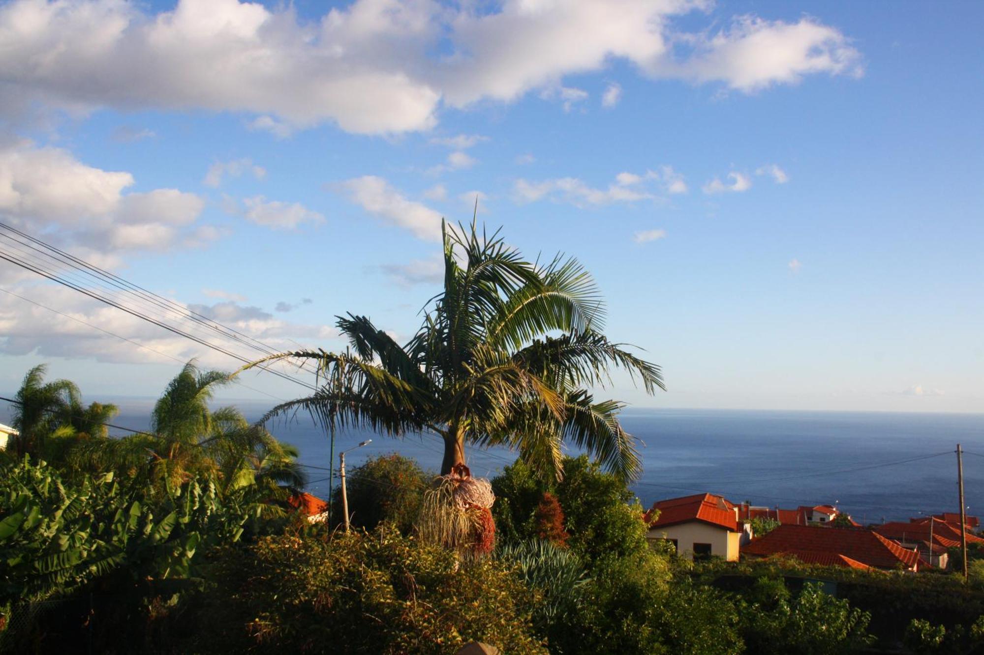 Ferienwohnung Lugar Dos Louros 2 Estreito Da Calheta Exterior foto
