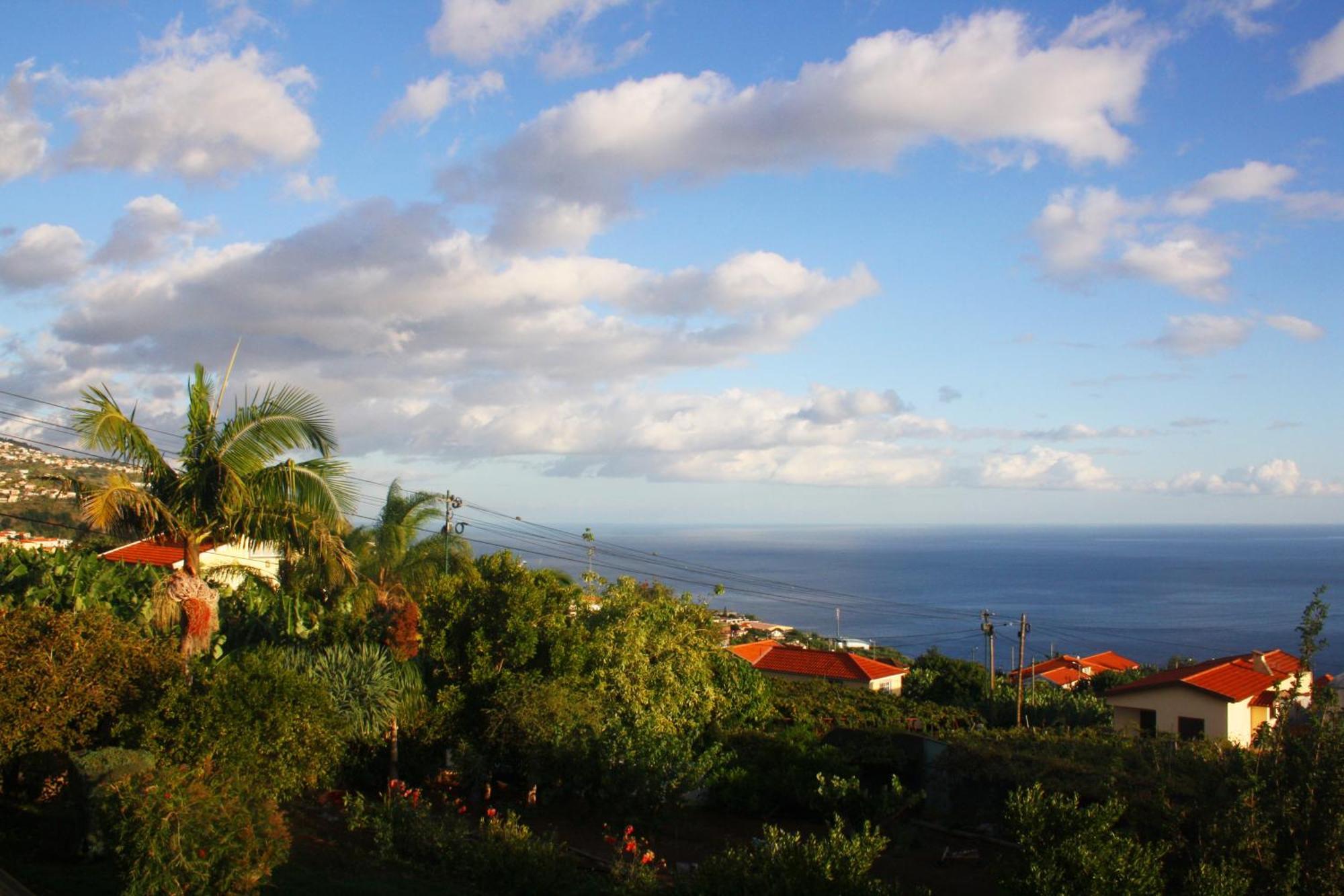 Ferienwohnung Lugar Dos Louros 2 Estreito Da Calheta Exterior foto
