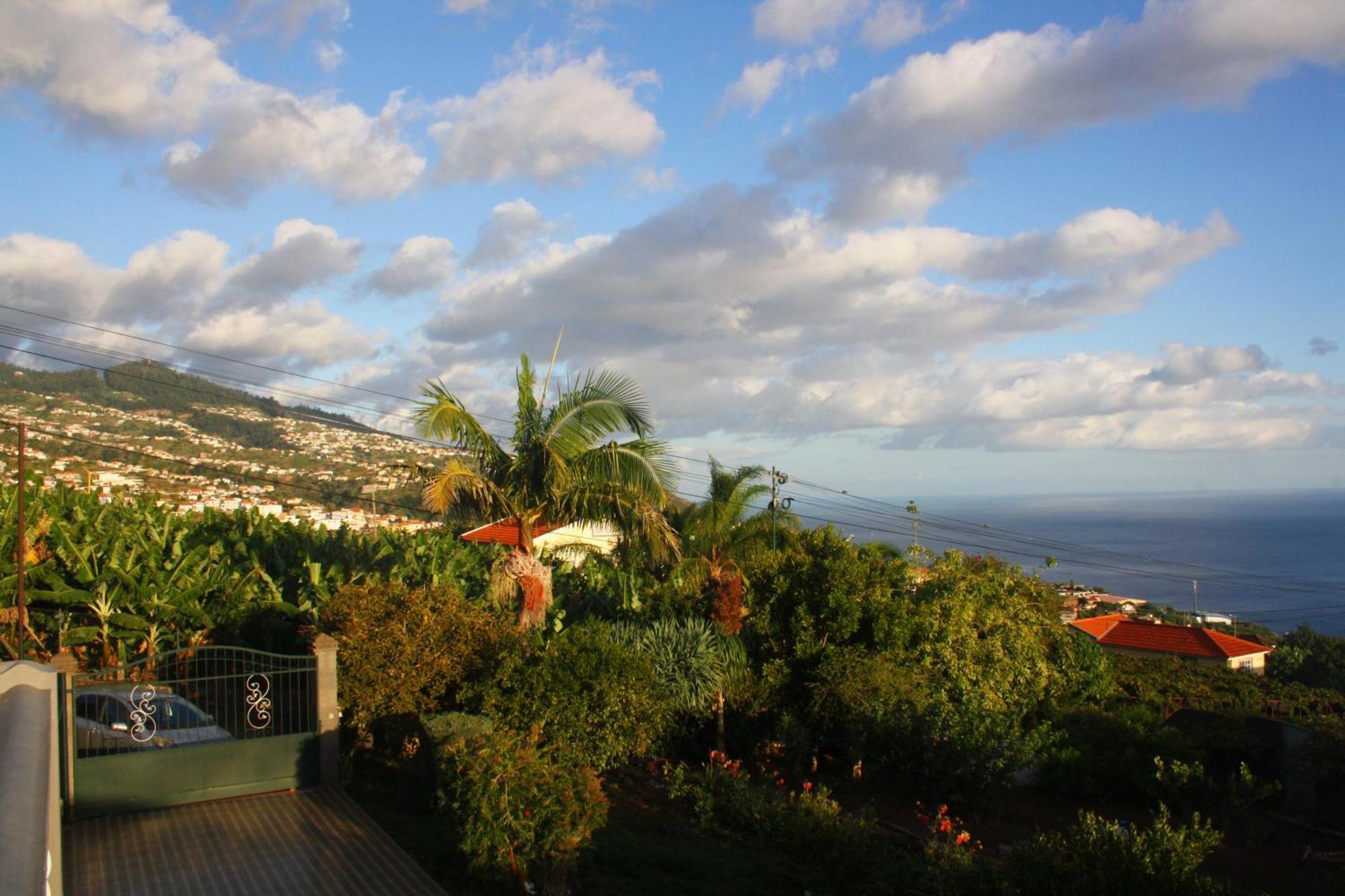 Ferienwohnung Lugar Dos Louros 2 Estreito Da Calheta Exterior foto
