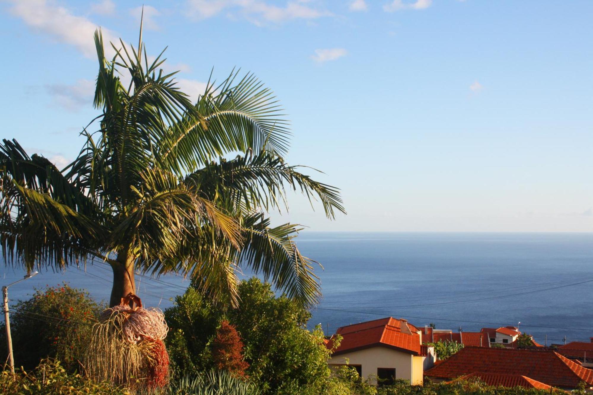 Ferienwohnung Lugar Dos Louros 2 Estreito Da Calheta Exterior foto